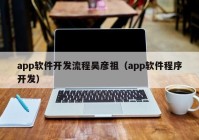 app软件开发流程吴彦祖（app软件程序开发）