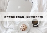 软件开发网课怎么样（网上学软件开发）