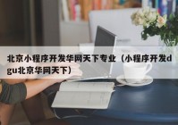 北京小程序开发华网天下专业（小程序开发dgu北京华网天下）